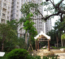 桓迪衛(wèi)浴--陽(yáng)光海岸花園成功案例